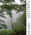 Kegon Falls, a tourist attraction in Tochigi Prefecture 105178972