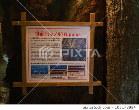 波紋痕跡和波紋招牌(和歌山縣白濱三段壁) 波紋痕跡和波紋招牌(和歌山縣白濱三段壁) 105178984