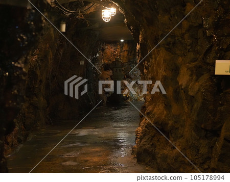 三段壁洞窟(和歌山縣白濱市三段壁)4 三段壁洞窟(和歌山縣白濱市三段壁)4 105178994