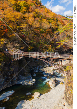 Tochigi Nikko City Nikko National Park Ryuokyo Gorge with autumn leaves Nijimi Bridge 105179069