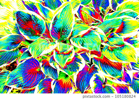 Abstract background of tropical leaves. Exotic floral pattern in neon colors. The host leaves. 105180824