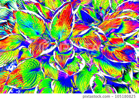 Abstract background of tropical leaves. Exotic floral pattern in neon colors. The host leaves. Abstract background of tropical leaves. Exotic floral pattern in neon colors. The host leaves. 105180825