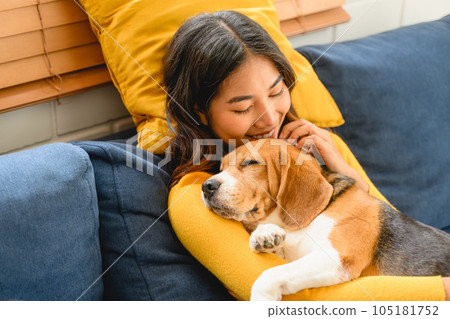 A woman is shown in a friendly interaction with her dog, a playful beagle 105181752