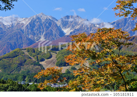 Northern Alps Mt. Shirouma Yarigatake Mt. Shakushidake over yellow leaves near Nodaira, Hakuba Village, Shinshu in autumn 105181911