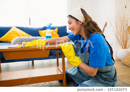 Happy woman cleaning house, Housekeeping and cleaning service, People doing housework at home Happy woman cleaning house, Housekeeping and cleaning service, People doing housework at home 105182073