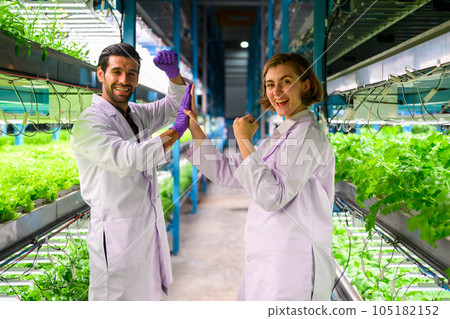 Researchers developing vegetable varieties at greenhouse agriculture 105182152