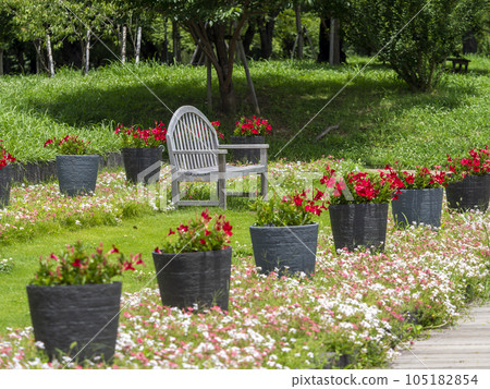 花壇長凳盛開的景色 105182854