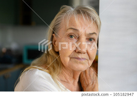 Senior woman grandmother relaxing at home portrait 105182947