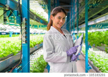 Researchers developing vegetable varieties at greenhouse agriculture 105183201