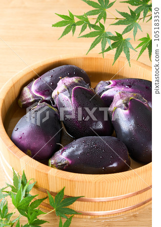 Eggplant chilled in a bucket (Wakayama Prefecture) Eggplant chilled in a bucket (Wakayama Prefecture) 105183350