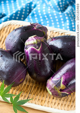 Mizunasu eggplant served in a strainer (produced in Wakayama Prefecture) 105183469