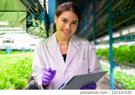 Researchers developing vegetable varieties at greenhouse agriculture 105183585