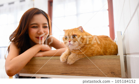 A cat with woman is at home, a young woman with a beautiful kitten in her bedroom 105184152