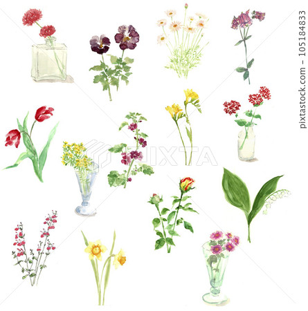 四個季節的花朵水彩插圖集白背 105184833