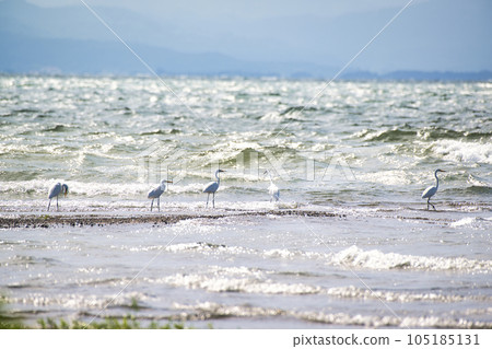 Lake Biwa Summer 2022 105185131