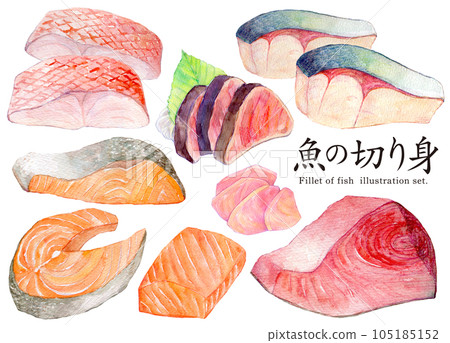 水彩插圖集魚片 水彩插圖集魚片 105185152