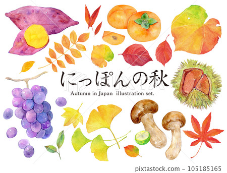 Watercolor illustration set Autumn in Japan 105185165