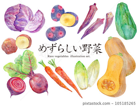 水彩插圖集稀有蔬菜 水彩插圖集稀有蔬菜 105185265