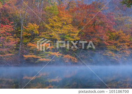 奧入瀨溪流(秋季) 奧入瀨溪流(秋季) 105186700