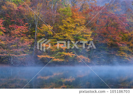 Oirase Stream (Autumn) 105186703