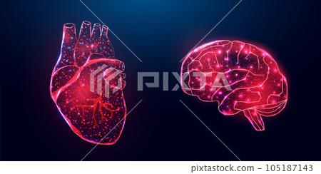 Human heart and brain. Wireframe low poly style. Concept for medical, treatment of the hepatitis. Abstract modern 3d vector illustration on dark blue background Human heart and brain. Wireframe low poly style. Concept for medical, treatment of the hepatitis. Abstract modern 3d vector illustration on dark blue background 105187143