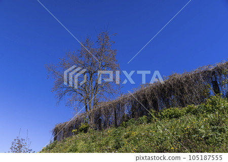 an old metal fence on a hill, an old metal mesh netting 105187555