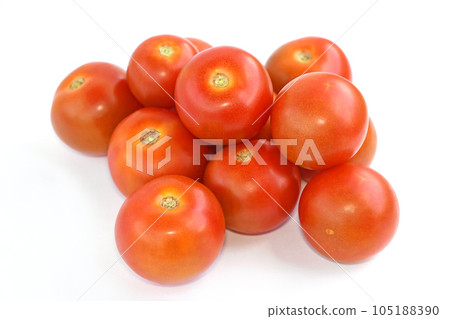 中珠番茄（Cindy Sweet） 105188390