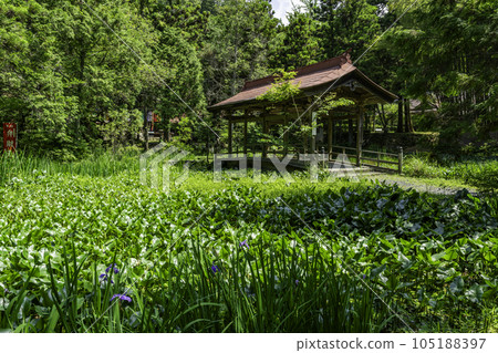 高村山竹林寺八千代橋 廣島縣東廣島市 高村山竹林寺八千代橋 廣島縣東廣島市 105188397