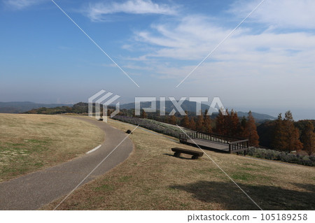 Awaji flowers in autumn (Awaji Island, Hyogo Prefecture) Awaji flowers in autumn (Awaji Island, Hyogo Prefecture) 105189258