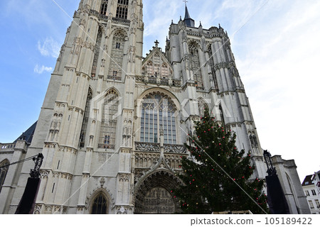 安特衛普聖母大教堂和聖誕樹 安特衛普聖母大教堂和聖誕樹 105189422