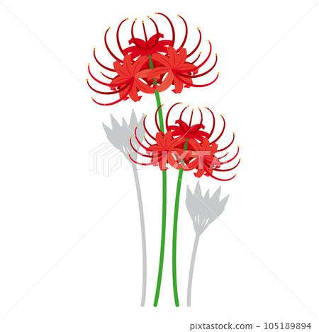 Higanki花3 105189894