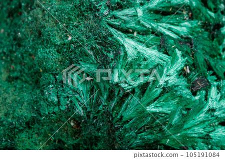 Macro mineral stone plisoviy, plush, satin malachite on a white background Macro mineral stone plisoviy, plush, satin malachite on a white background 105191084
