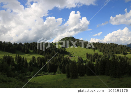 Green mountain meadow and cumulus cloud over Mount Walighuerli. Green mountain meadow and cumulus cloud over Mount Walighuerli. 105191176