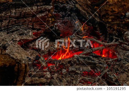 texture flame from burning logs at night texture flame from burning logs at night 105191295