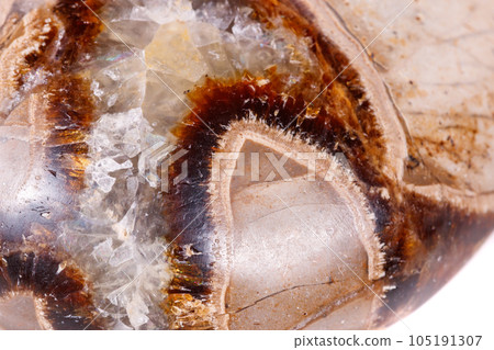 Macro mineral stone Simbirzit and Septaria on white background 105191307