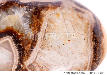 Macro mineral stone Simbirzit and Septaria on white background 105191308