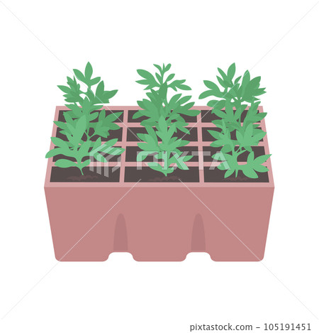 Green sprouts of a plant on a white background Green sprouts of a plant on a white background 105191451