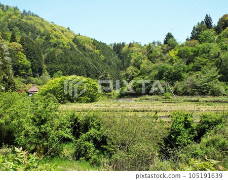 Satoyama at early summer Satoyama at early summer 105191639