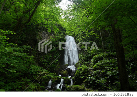 新鮮的綠色不動的瀑布 新鮮的綠色不動的瀑布 105191982