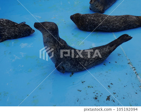 水族館密封 105192094