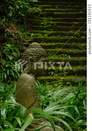 Myohoji Temple moss stone steps Myohoji Temple moss stone steps 105192413