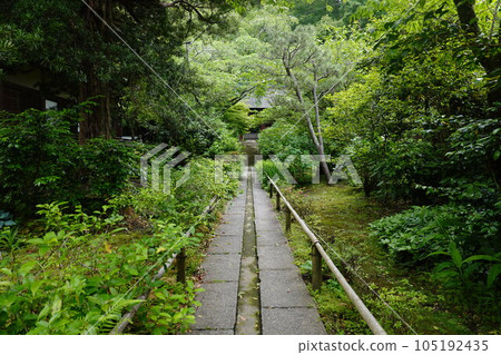 妙法寺 妙法寺 105192435