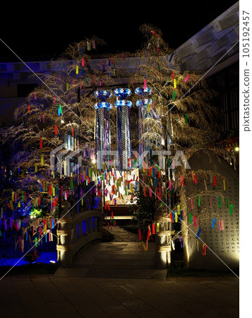 Tanabata decorations at Dogo Onsen at night 105192457