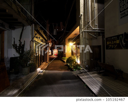 夜晚的溫泉小鎮街道 夜晚的溫泉小鎮街道 105192467
