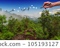 Human hand drawing social network connection on the mountain with blue sky background. 105193127