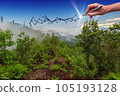 Hand drawing a growing graph on a mountain with cityscape in the background. 105193128