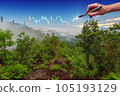 Hand drawing stock market graph on the mountain with morning fog background. 105193129