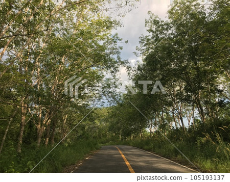 View on the road to Betong, Yala, Thailand 105193137