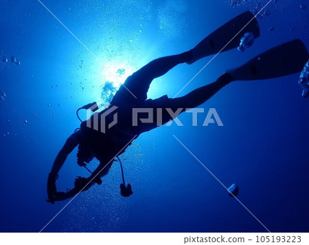 潛水員水下 105193223