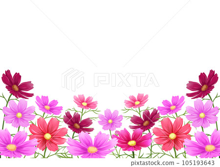 cosmos field frame cosmos field frame 105193643